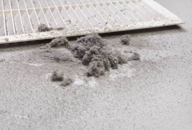 Best Affordable Air Duct Cleaning  in Cottage Lake, WA